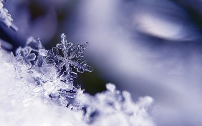 Prepare Your Pool for Freezing Temps