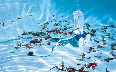 Automatic Pool Cleaners for Dummies